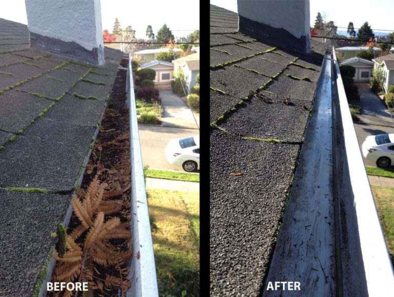 Gutter Cleaning Near Me Local Gutter Services Company